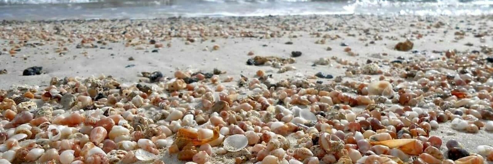 elafonisi beach shells